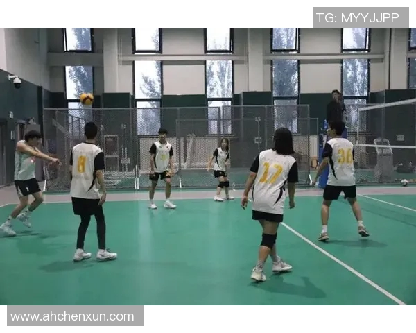 南京排球队的速度之美:探索快速攻防与团队协作的完美结合