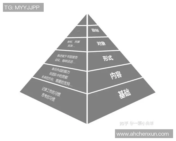 杭州与南京排球队赛后复盘探讨团队协作的成功与不足之处
