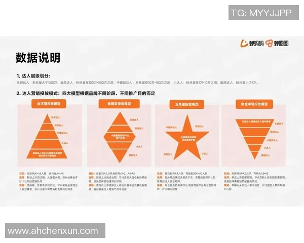 上海排球队运营策略分析与成败经验总结