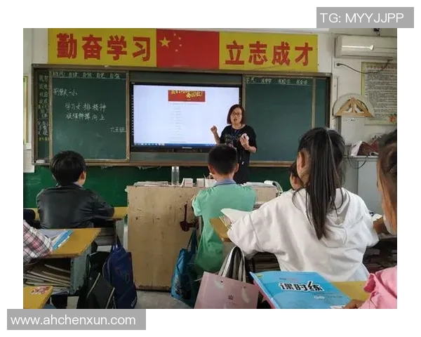 杭州排球队的成长之路：一段激情与奋斗交织的纪实故事