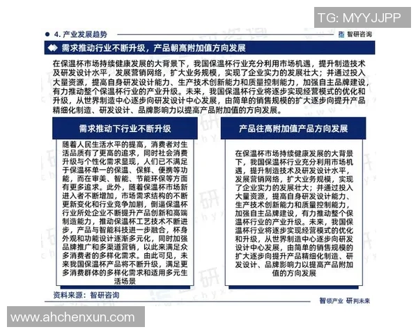 深圳排球队总决赛技术分析与表现评估全景解读