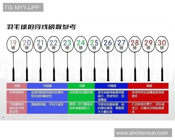 羽毛球装备选购指南：精选球拍推荐与购买技巧分享